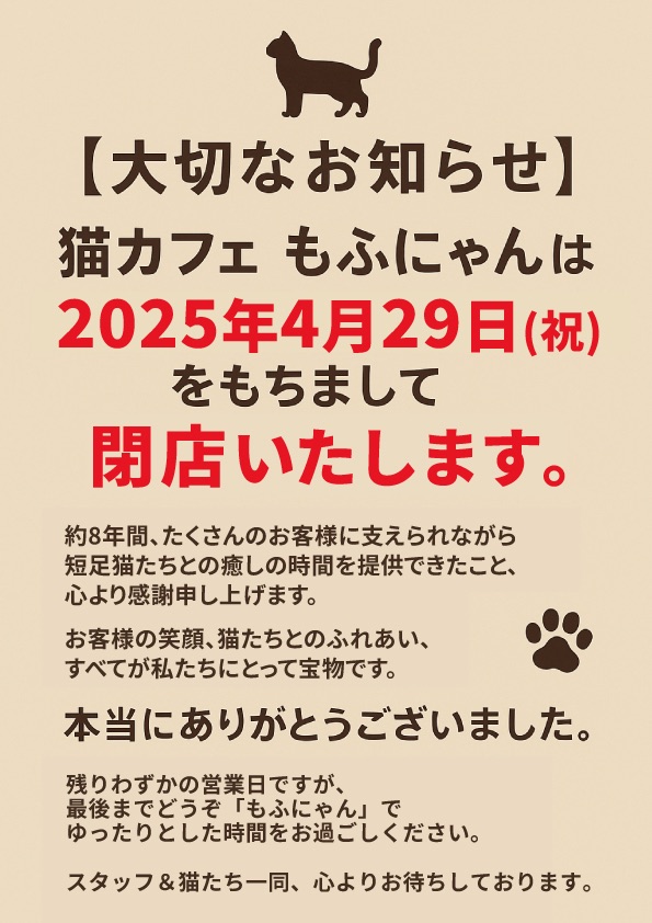 閉店のお知らせと感謝のご挨拶】 | 猫カフェもふにゃん
